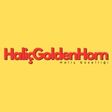 halicgolden icon